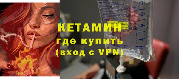 сатива Новодвинск