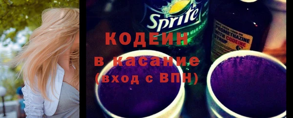 индика Нефтегорск