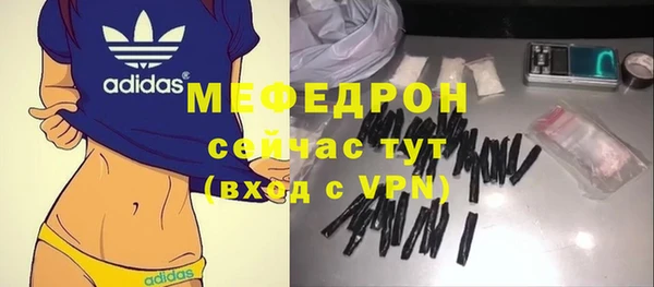 сатива Новодвинск