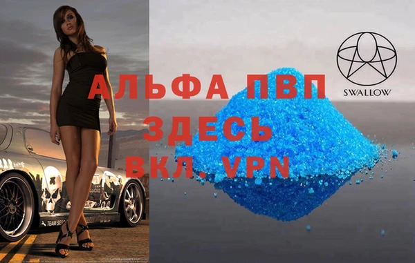 сатива Новодвинск