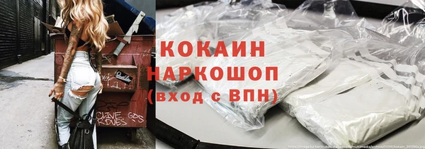 ГАЛЛЮЦИНОГЕННЫЕ ГРИБЫ Новозыбков