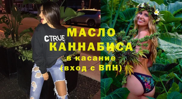 сатива Новодвинск