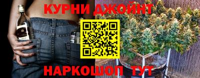 PSILOCYBIN Гай