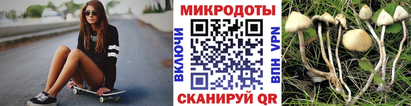 Псилоцибиновые грибы Cubensis  Кимры 