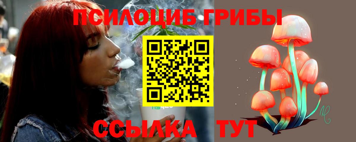 Галлюциногенные грибы мухоморы Кимры