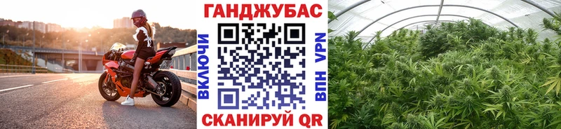МАРИХУАНА сатива  omg рабочий сайт  Кимры 